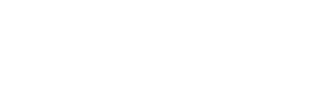 The Brotherhood Sister Sol  Educating, Organizing, and Training for Social  Justice